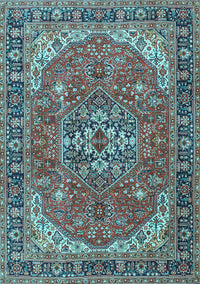 Medallion Light Blue Traditional Rug, tr4105lblu