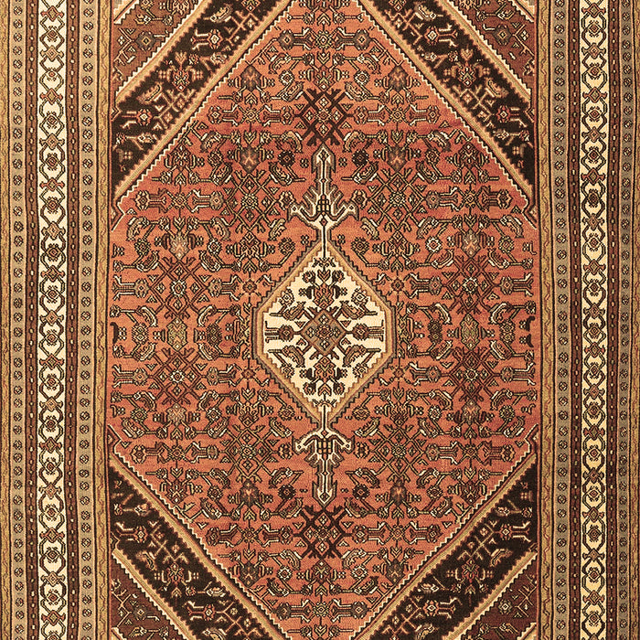 Machine Washable Persian Brown Traditional Rug, wshtr4108brn