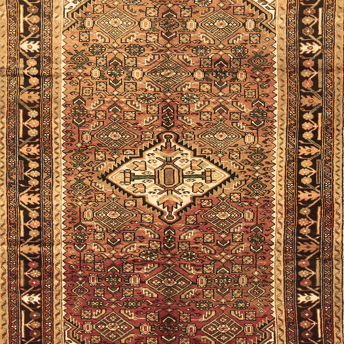 Persian Brown Traditional Rug, tr410brn