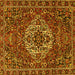 Square Machine Washable Persian Yellow Traditional Rug, wshtr4111yw