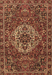 Persian Brown Traditional Rug, tr4111brn