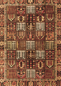 Persian Brown Traditional Rug, tr4114brn