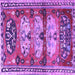 Square Machine Washable Persian Purple Traditional Area Rugs, wshtr4116pur