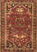 Persian Brown Traditional Rug, tr4118brn