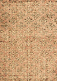 Persian Brown Traditional Rug, tr4120brn