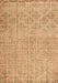 Persian Brown Traditional Rug, tr4120brn