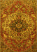 Medallion Yellow Traditional Rug, tr4125yw