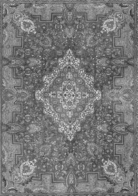 Medallion Gray Traditional Rug, tr4127gry