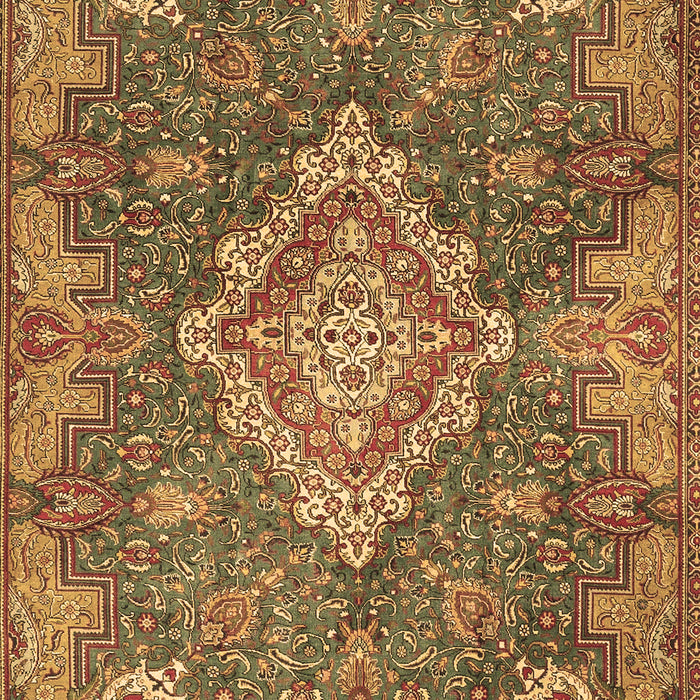 Medallion Brown Traditional Rug, tr4127brn