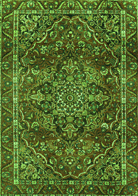 Persian Green Traditional Rug, tr4128grn