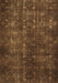 Machine Washable Persian Brown Traditional Rug, wshtr4134brn