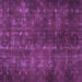 Square Machine Washable Persian Purple Traditional Area Rugs, wshtr4134pur