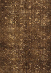 Persian Brown Traditional Rug, tr4134brn