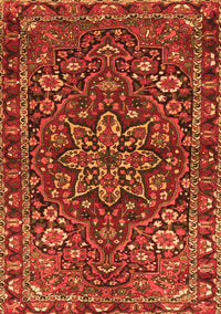 Persian Orange Traditional Rug, tr4137org