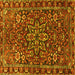 Square Machine Washable Persian Yellow Traditional Rug, wshtr4137yw