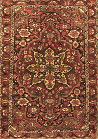 Persian Brown Traditional Rug, tr4137brn