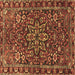 Square Persian Brown Traditional Rug, tr4137brn