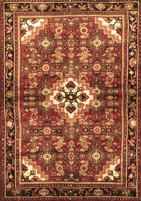 Persian Brown Traditional Rug, tr4138brn