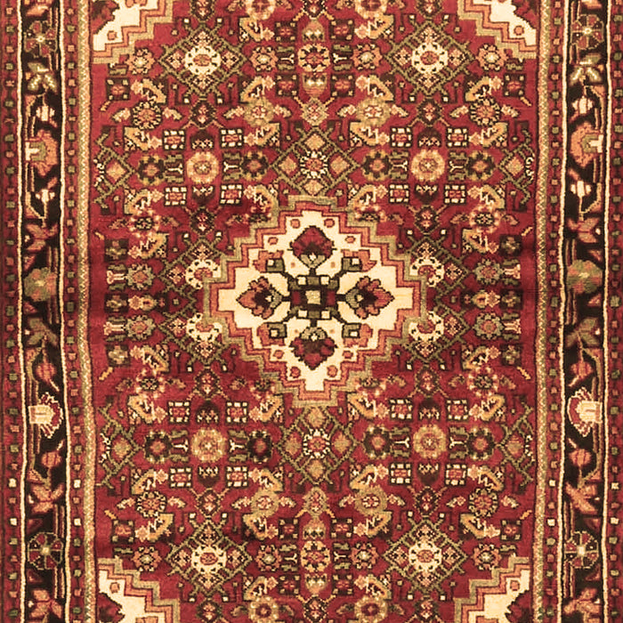 Machine Washable Persian Brown Traditional Rug, wshtr4138brn