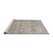 Sideview of Machine Washable Traditional Pale Silver Gray Rug, wshtr4141