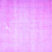Square Machine Washable Persian Purple Traditional Area Rugs, wshtr4144pur
