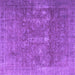 Square Persian Purple Traditional Rug, tr4145pur