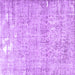 Square Machine Washable Persian Purple Traditional Area Rugs, wshtr4149pur