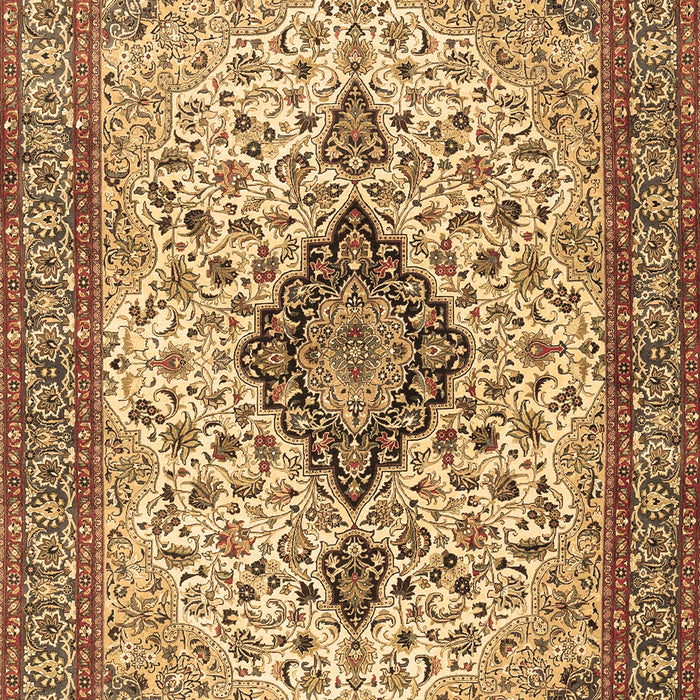 Medallion Brown Traditional Rug, tr4153brn