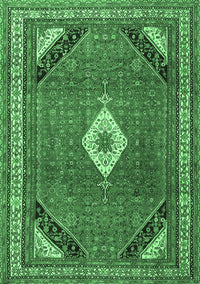 Medallion Emerald Green Traditional Rug, tr4154emgrn