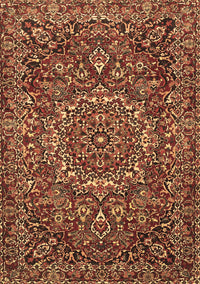 Persian Brown Traditional Rug, tr4155brn