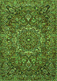 Persian Green Traditional Rug, tr4155grn