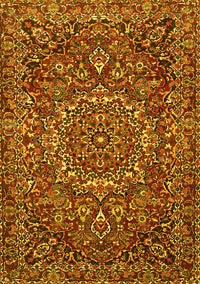 Persian Yellow Traditional Rug, tr4155yw