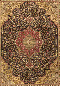 Medallion Brown Traditional Rug, tr4157brn