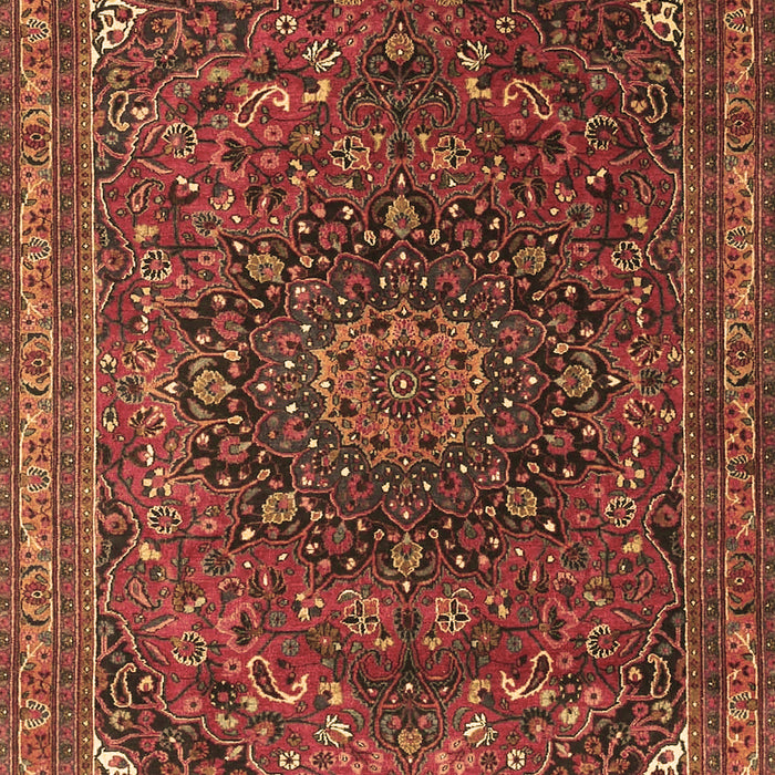 Medallion Brown Traditional Rug, tr4158brn