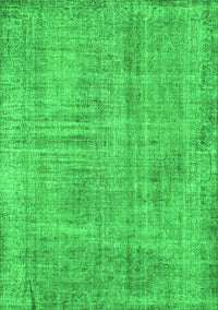 Persian Green Traditional Rug, tr4161grn