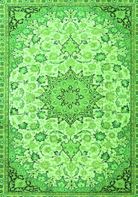 Medallion Green Traditional Rug, tr4163grn