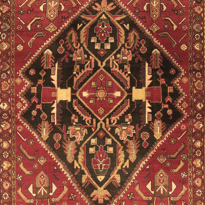 Medallion Brown Traditional Rug, tr4165brn