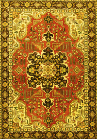 Medallion Yellow Traditional Rug, tr4166yw