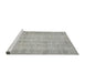 Sideview of Machine Washable Traditional Pale Silver Gray Rug, wshtr4167