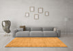 Machine Washable Persian Orange Traditional Area Rugs in a Living Room, wshtr4167org