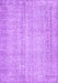 Persian Purple Traditional Rug, tr4167pur