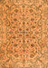 Serging Thickness of Machine Washable Persian Orange Traditional Area Rugs, wshtr4170org