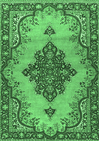 Medallion Emerald Green Traditional Rug, tr4171emgrn