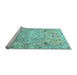 Sideview of Machine Washable Persian Light Blue Traditional Rug, wshtr4173lblu