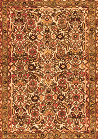 Persian Orange Traditional Rug, tr4174org