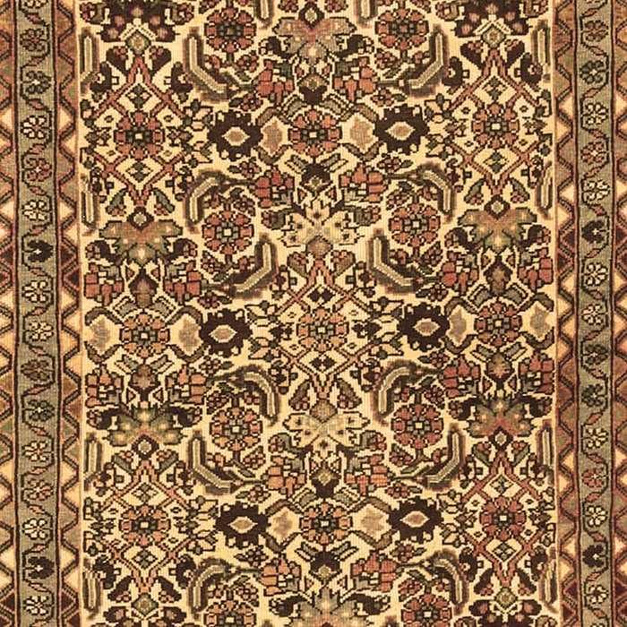 Machine Washable Persian Brown Traditional Rug, wshtr4174brn