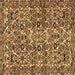 Square Persian Brown Traditional Rug, tr4174brn
