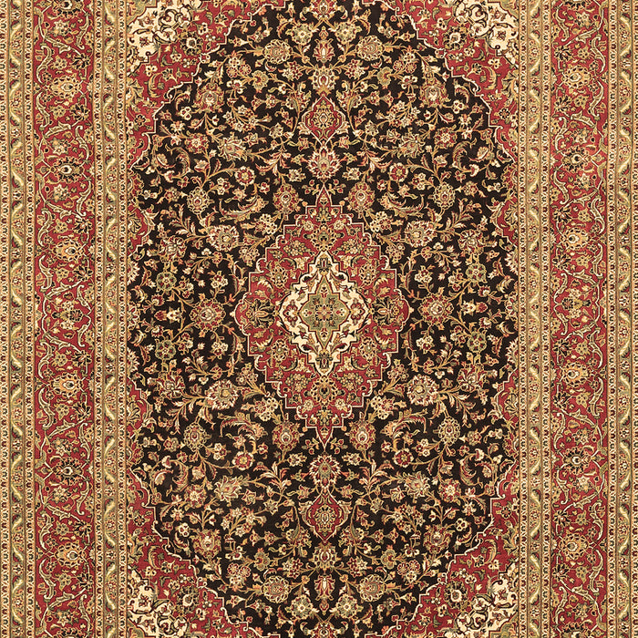 Medallion Brown Traditional Rug, tr417brn