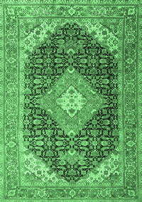 Medallion Emerald Green Traditional Rug, tr4182emgrn