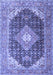 Medallion Blue Traditional Rug, tr4182blu